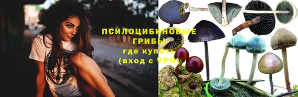 Альфа ПВП Верхний Тагил