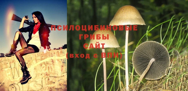 Альфа ПВП Верхний Тагил