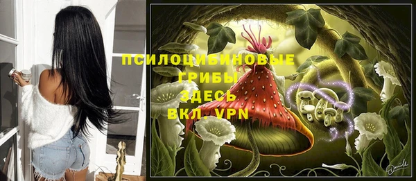 Альфа ПВП Верхний Тагил