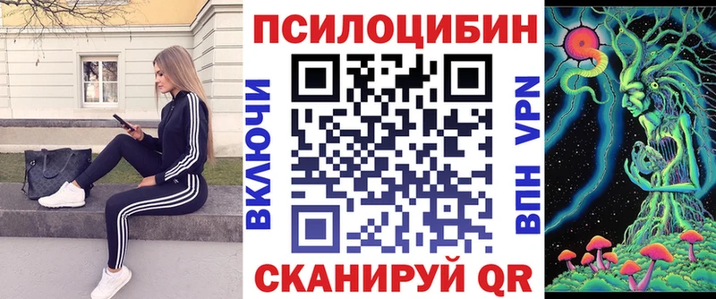 Купить закладки  Ленинск-Кузнецкий  Псилоцибиновые грибы Cubensis 